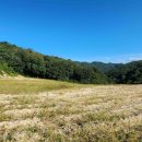 금산 태양광발전소 이미지