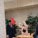 롯데리아안양 이미지