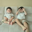 여름 아기옷 모이몰른 조이피케 반팔 &amp; 요루팬츠 실착 후기