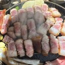 고도식마포