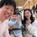 외국계 맞벌이부부 재테크 223 : 31개월 아기와 3박4일 가성비 도쿄 여행 후기
