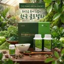 한국클로렐라 쇼핑하우