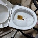 시도29호선 | 집에서 물이 안 내려갈 때 겪은 대참사 해결기 성남분당구운중동변기막힘냉난방설비업체 다녀갔네요