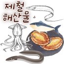 비타민여행사 이미지