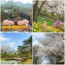 안산자락길 숲속카페 이미지