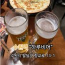 하루비어 | 수원역에서 간단하게 생맥주 마시기 좋은 하루 비어(메뉴, 후기) 리뷰