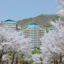 이랜드파크 켄싱턴리조트 지리산남원 이미지