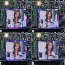 고려대 2025 입실렌티 지야의 함성 라인업&amp;후기(키키, 엔믹스, 르세라핌)