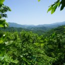 구리골산 659m 버드산 512m 불당산 628m 후산 551m/전북무주 이미지