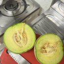 [7월 일상(3)] 여름아 부탁해 / 자취생 제철음식 먹기 / 원주 맛집 / 부산여행 / 부산맛집 / 오마카세...