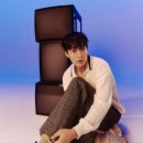 라이트 하운드 이미지