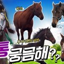 부마목장 이미지