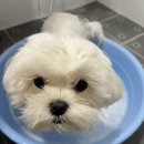 깍고밀고이발 이미지