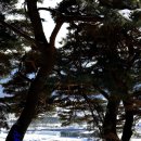 주산제 티스토리