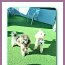 제이비커피 이미지