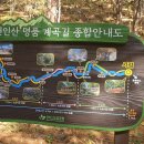 경기도의 숨은 비경 가평 용추계곡 트레킹(6/15일 -토) 이미지
