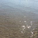 해비치유치원 이미지