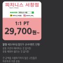 피치니스 이미지