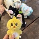 (주)전설그룹 | 감사합니다 ~ ! 감사합니다 ~ ! 감사합니다 ~ ! (250809 피원하모니 : MOST WANTED 첫콘 후기 )