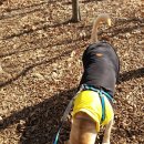 용서농장 이미지