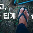 직끼