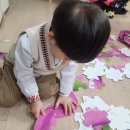 31140-5-37-3 | 크로커다일크릭 48피스 퍼즐, 37개월 vs 만 5세 비교 후기