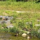 오리들2길 이미지