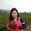 선두팜