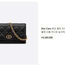 레이디올 이미지