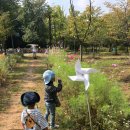 동일자연어린이집 이미지