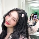 픽조이 이미지