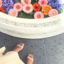6월 첫째 주 일상