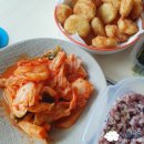 농협몰신선플러스 런칭! 국산 농수축산물 손쉽게 구매하기