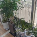 성남금융고.중탑초교 이미지