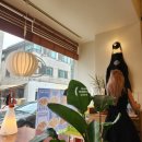 일산 수제버거 맛집 포테이토헤드 버거샵 밤리단길 내돈내산 후기