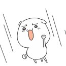 비비돈가스 이미지