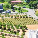 삼우목장 이미지