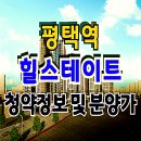 힐스테이트 평택역 센트럴시티 아파트 분양일정 이미지