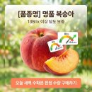 복숭아 철이 왔어요. 마트 복숭아 실패하셨나요? 실패 없는 인생 복숭아, 여기서 찾았습니다!"