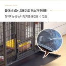 강아지공간 이미지