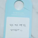 에스테티아세종소담 이미지