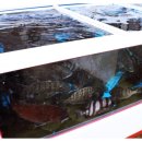 유명횟집 이미지