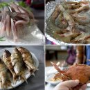 천수만해상낚시공원 이미지