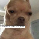 [창원 디어쥬뷰티]창원 속눈썹펌 상남동 속눈썹펌 디어쥬뷰티 찐 후기/ 완전 추천