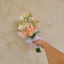 준플라워 이미지