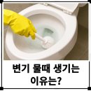 클린환경노동조합 | 변기 물때 원인 해결? 클린아쿠아 자동 변기세정제 사용법