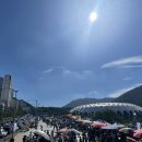 부산 사직아시아드주경기장 PSG : 전북현대 직관 후기!!!
