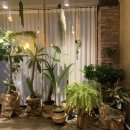 이디야 삼산아데라움점 이미지