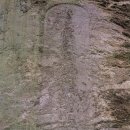 수원-1642 이미지