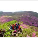 【제418차 정기산행】합천 황매산(1,118m) ~ 감암산(828m) 철쭉꽃산행-5/6(토) 이미지